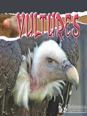 cover image of Vultures